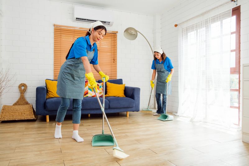 Monthly Cleaning For Busy Professionals