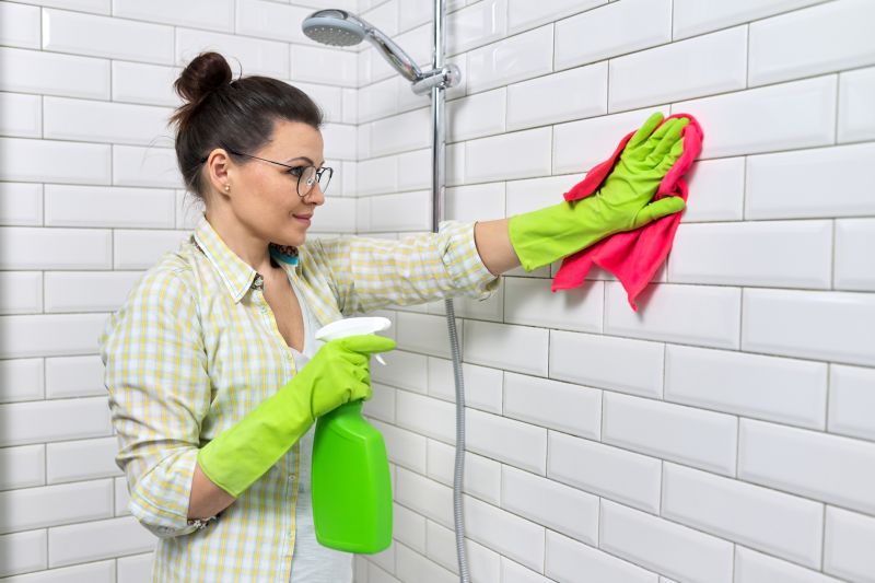 Bathroom Cleaning