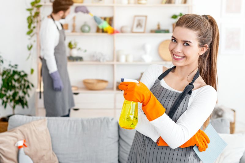 Deep Interior Cleaning