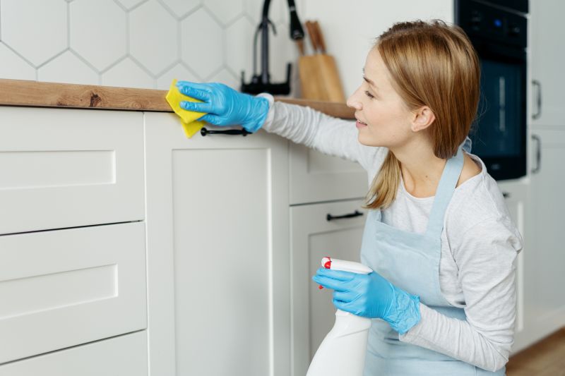Kitchen Cleaning