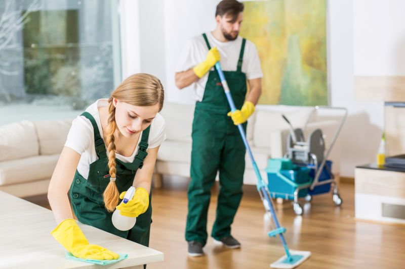 Professional Interior Cleaning In Madison