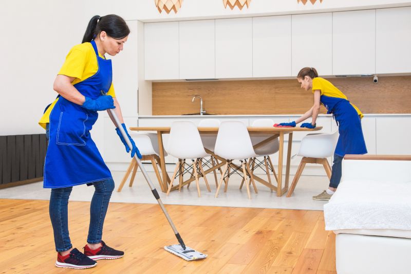 Weekly Cleaning For Busy Households In Madison